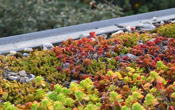 the cost of Bickerstaffe green roof installation