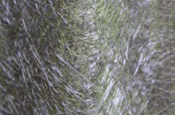 Bickerstaffe fibreglass roof work